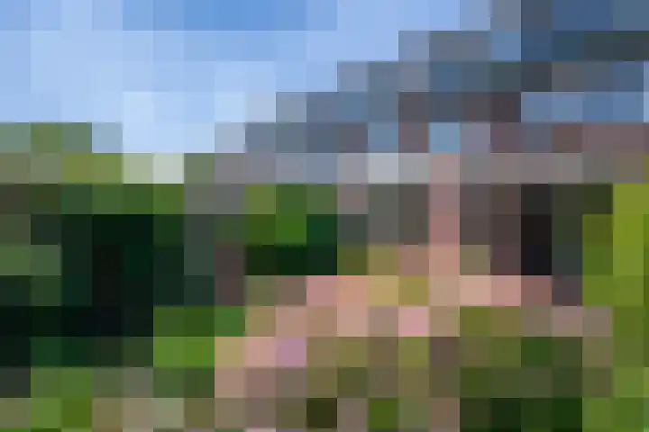Gein 5 Apeldoorn thumbnail 22