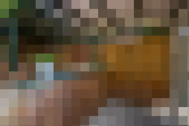 Gein 5 Apeldoorn thumbnail 23