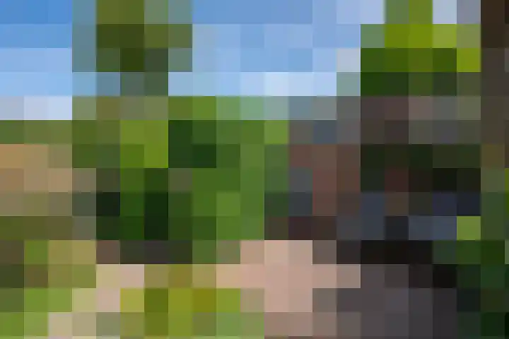 Gein 5 Apeldoorn thumbnail 24