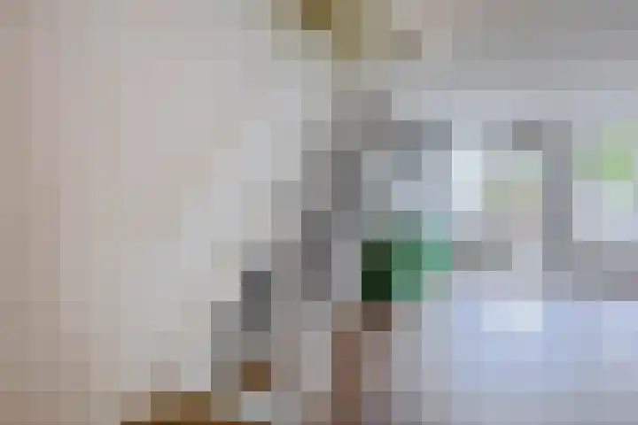 Gein 5 Rotterdam thumbnail 11