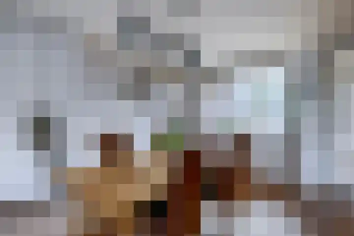 Gein 5 Rotterdam thumbnail 17