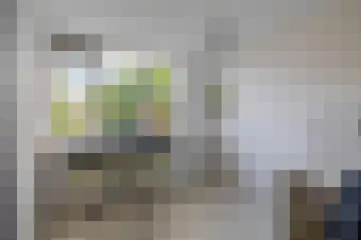 Gein 5 Rotterdam thumbnail 28