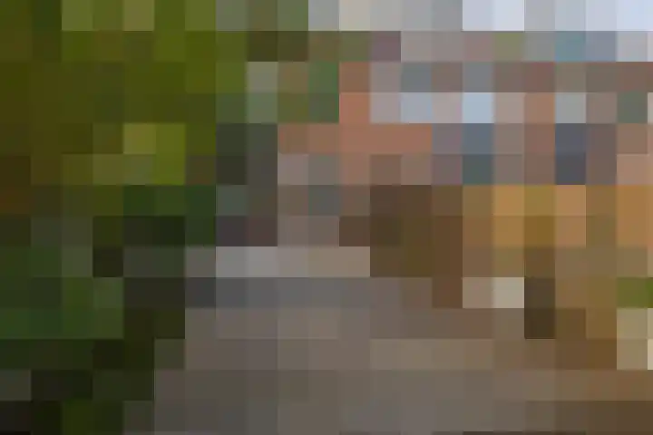 Gein 5 Rotterdam thumbnail 36