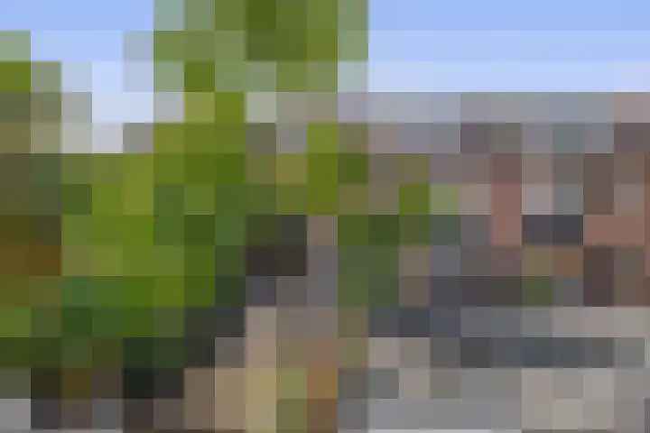 Gein 5 Rotterdam thumbnail 40