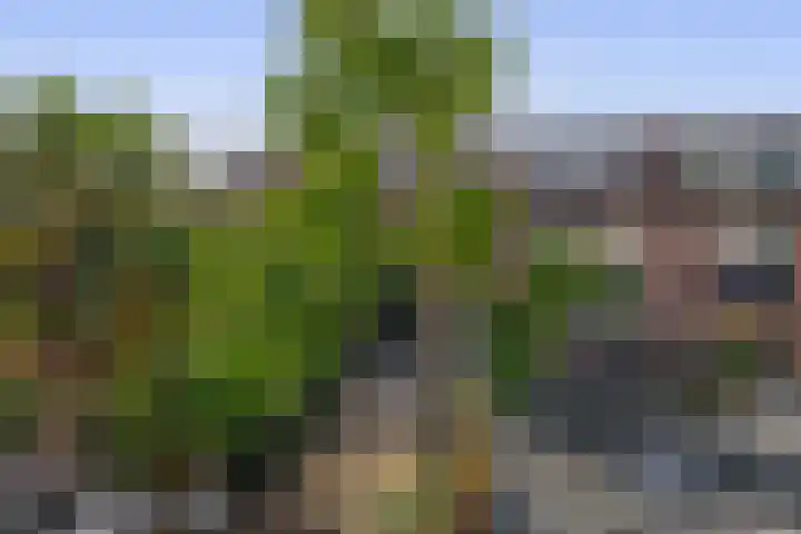 Gein 5 Rotterdam thumbnail 41