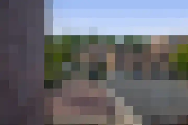 Gein 5 Rotterdam thumbnail 43
