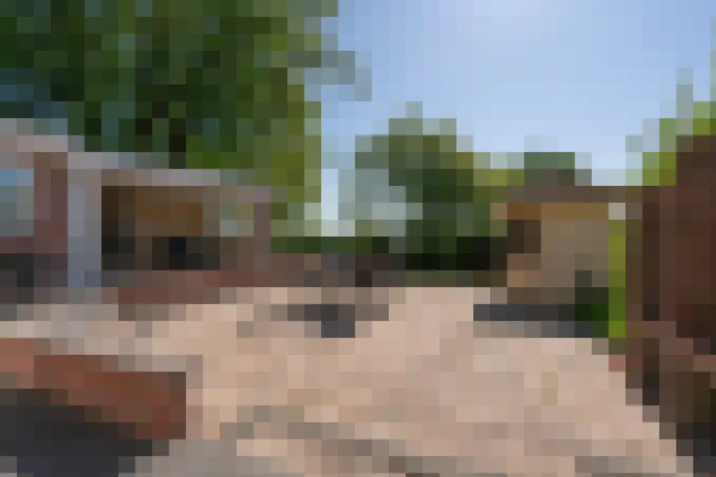 Gein-Noord 16 Abcoude thumbnail 22