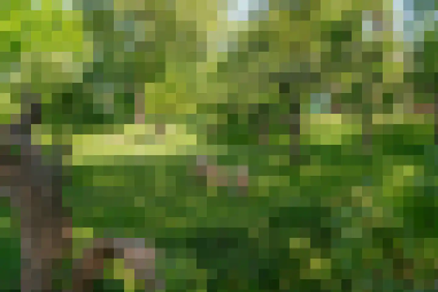 Gein-Noord 16 Abcoude thumbnail 58