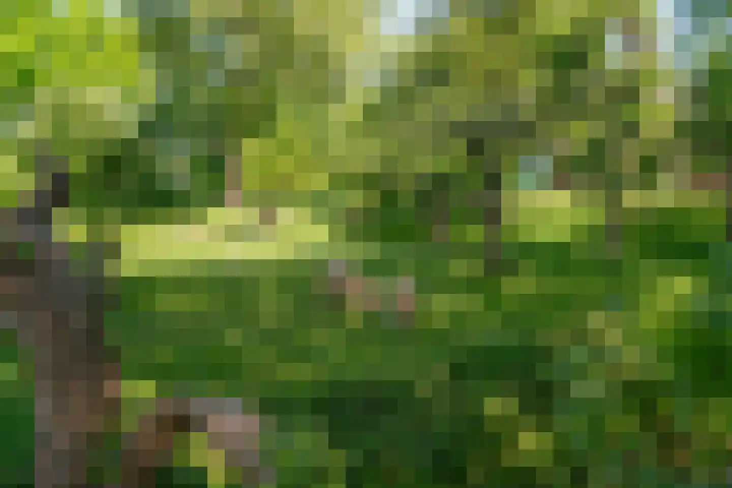Gein-Noord 16 Abcoude thumbnail 58