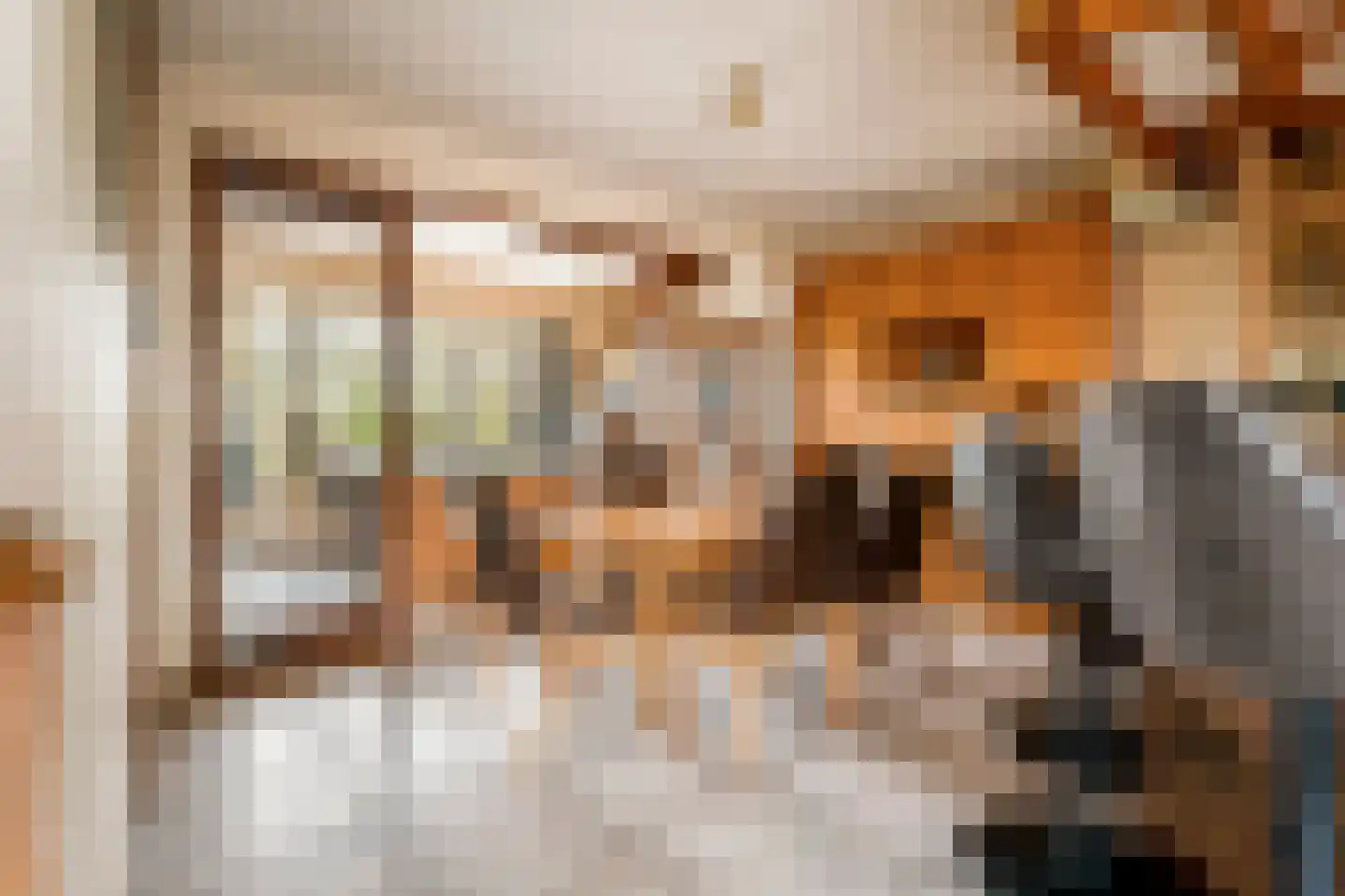 Gein-Noord 16 Abcoude thumbnail 9