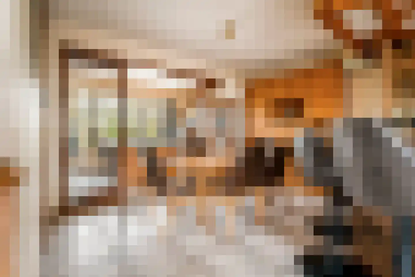 Gein-Noord 16 Abcoude thumbnail 9