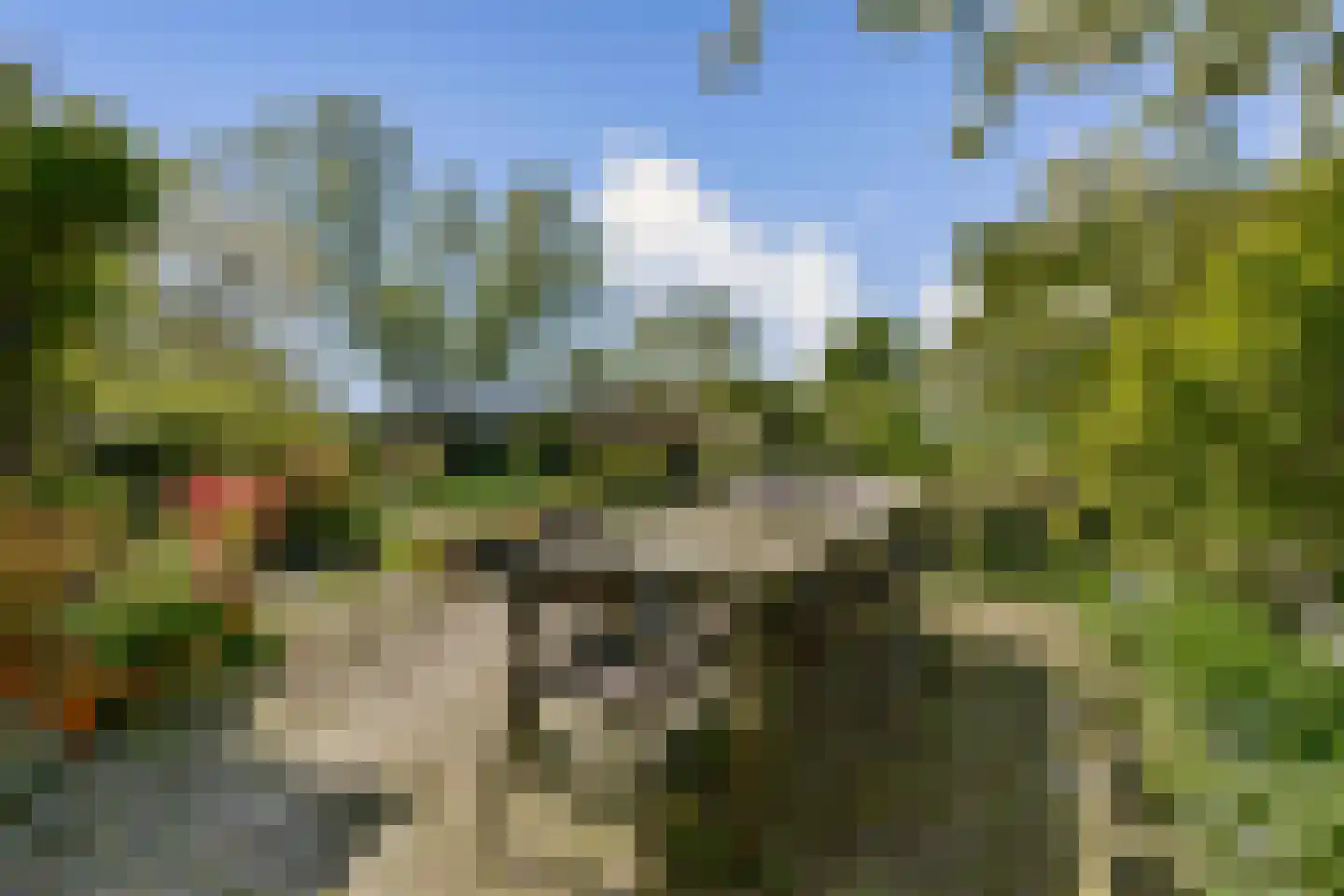 Gein-Noord 57 Abcoude thumbnail 28