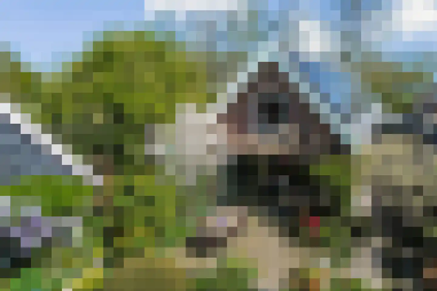 Gein-Noord 57 Abcoude thumbnail 29