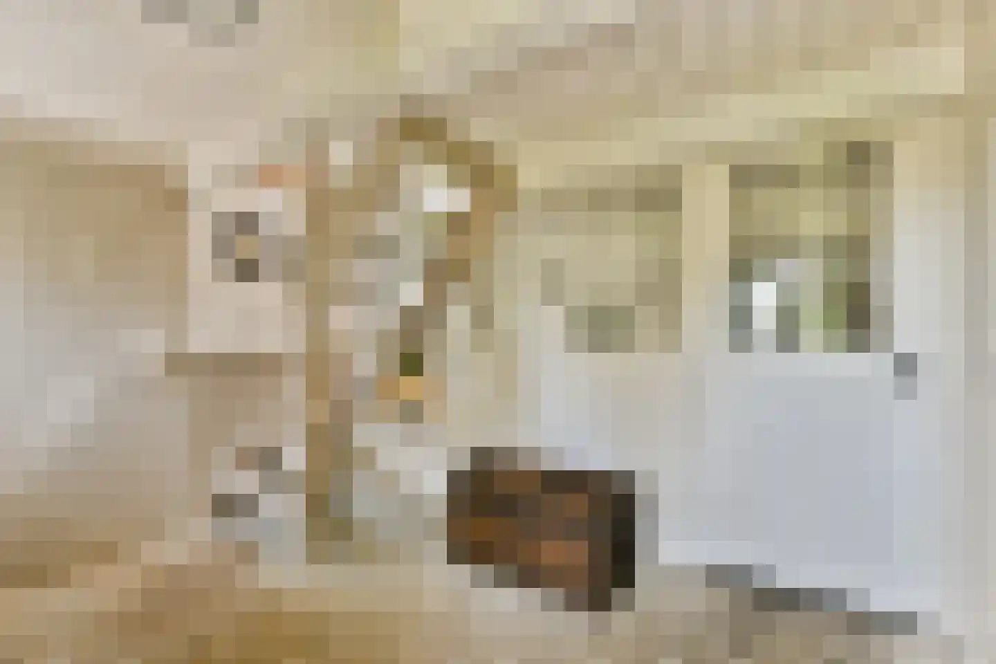 Gein-Noord 57 Abcoude thumbnail 30