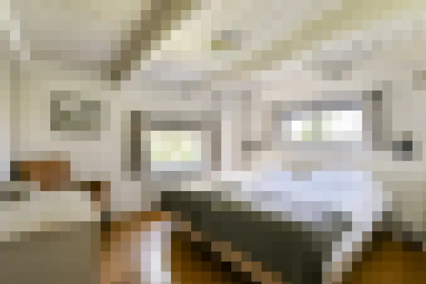 Gein-Noord 57 Abcoude thumbnail 37