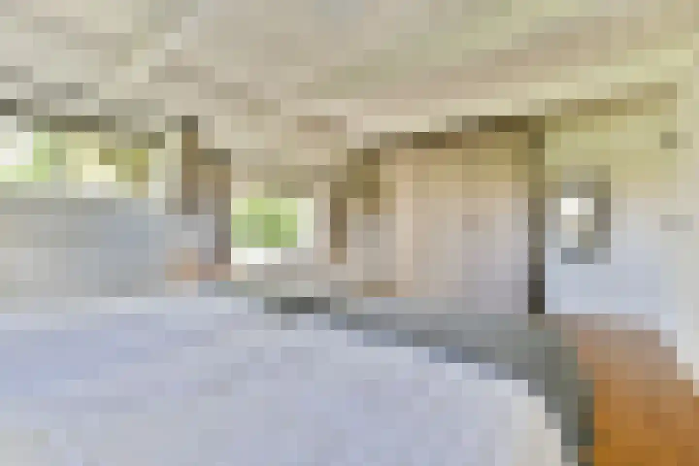 Gein-Noord 57 Abcoude thumbnail 41