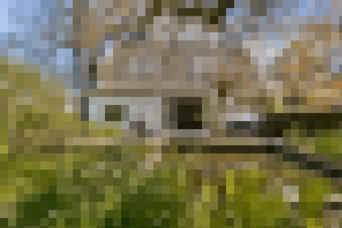 Gein-Noord 57 Abcoude thumbnail 47