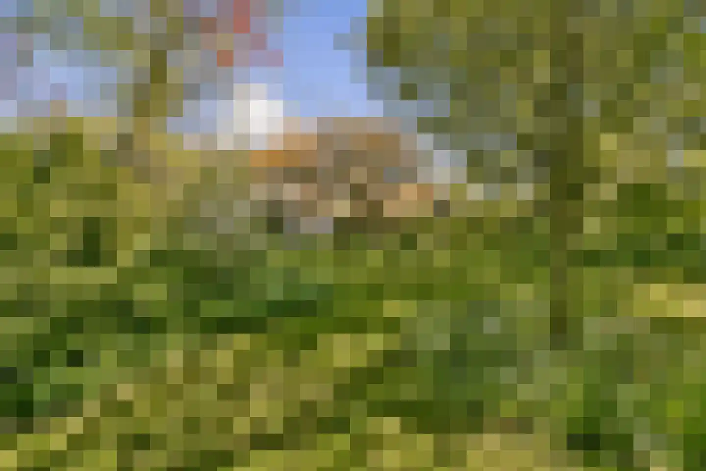 Gein-Noord 57 Abcoude thumbnail 48
