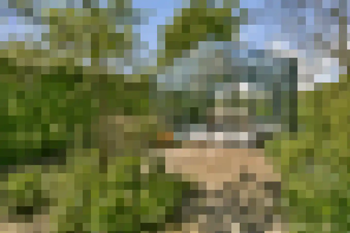 Gein-Noord 57 Abcoude thumbnail 49