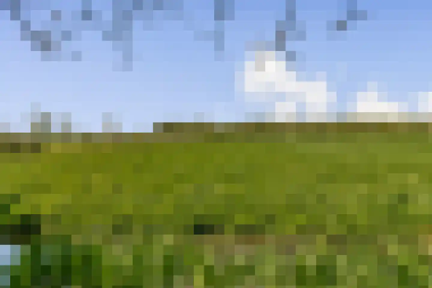 Gein-Noord 57 Abcoude thumbnail 52