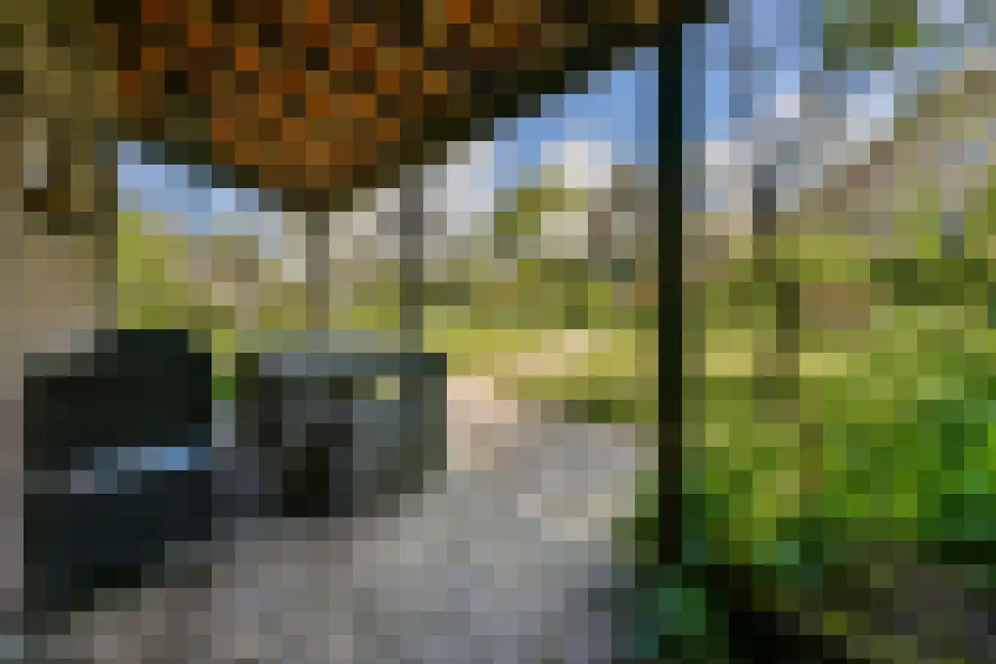 Gein-Noord 57 Abcoude thumbnail 56