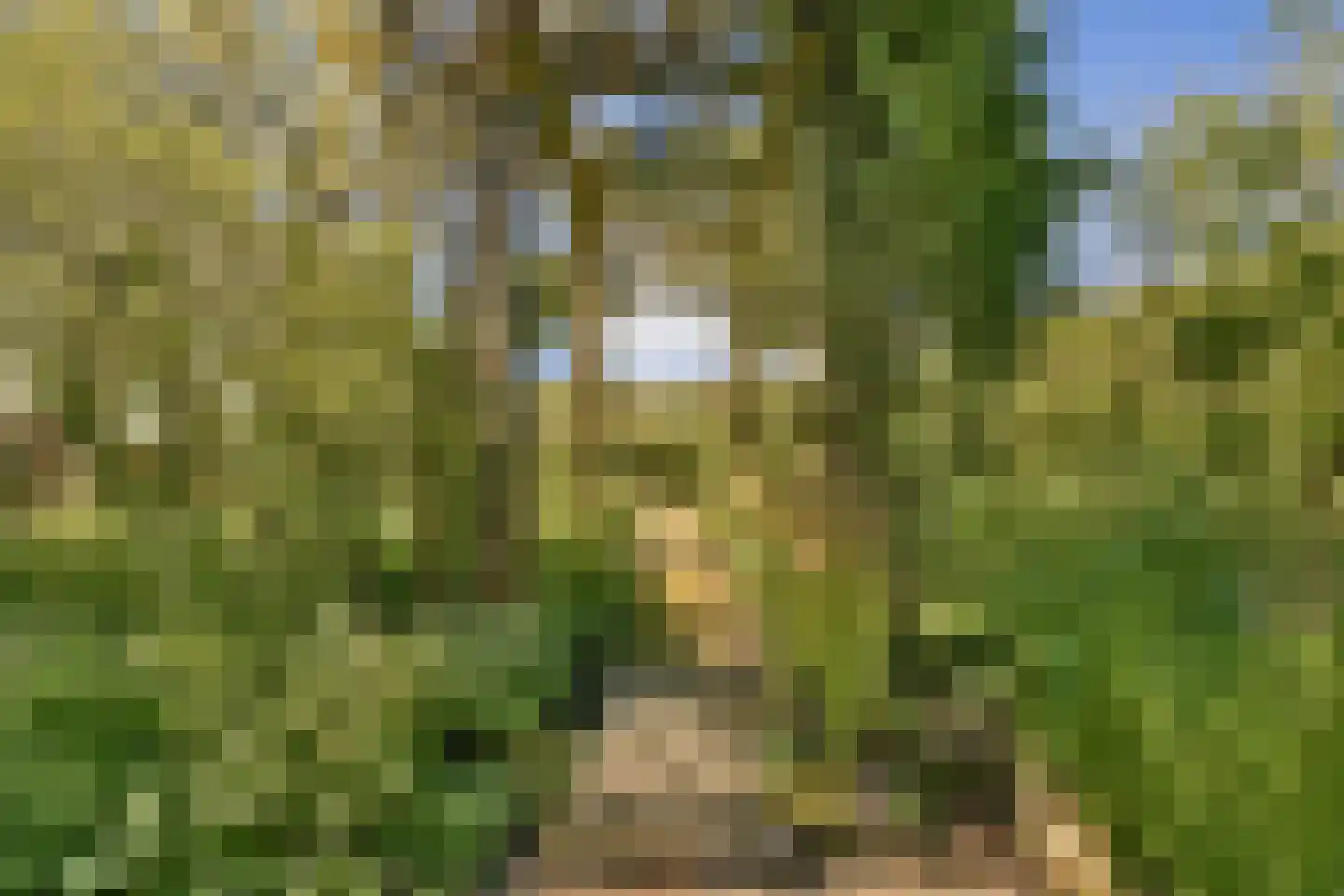 Gein-Noord 57 Abcoude thumbnail 57