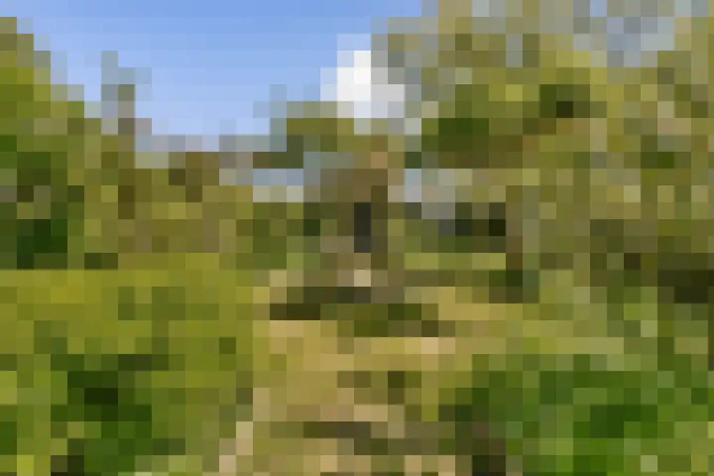 Gein-Noord 57 Abcoude thumbnail 58