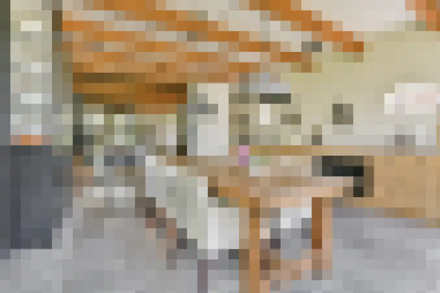 Gein-Noord 57 Abcoude thumbnail 8