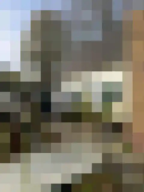 Gein-Noord 84 Abcoude thumbnail 6