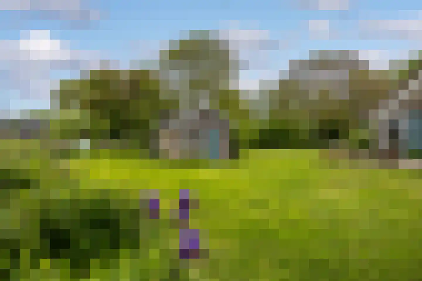 Gein-Noord 88 B Abcoude thumbnail 43