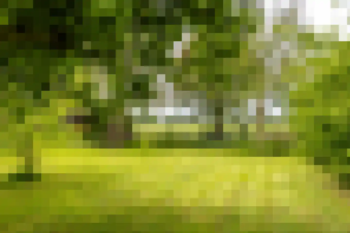 Gein-Noord 88 B Abcoude thumbnail 46