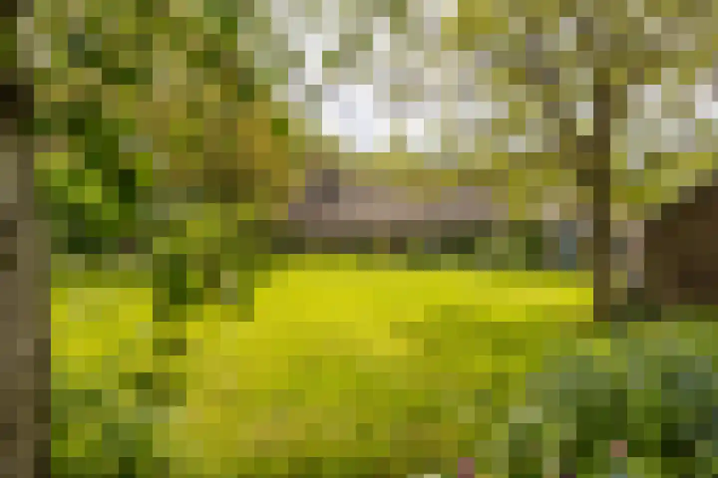 Gein-Noord 88 B Abcoude thumbnail 47