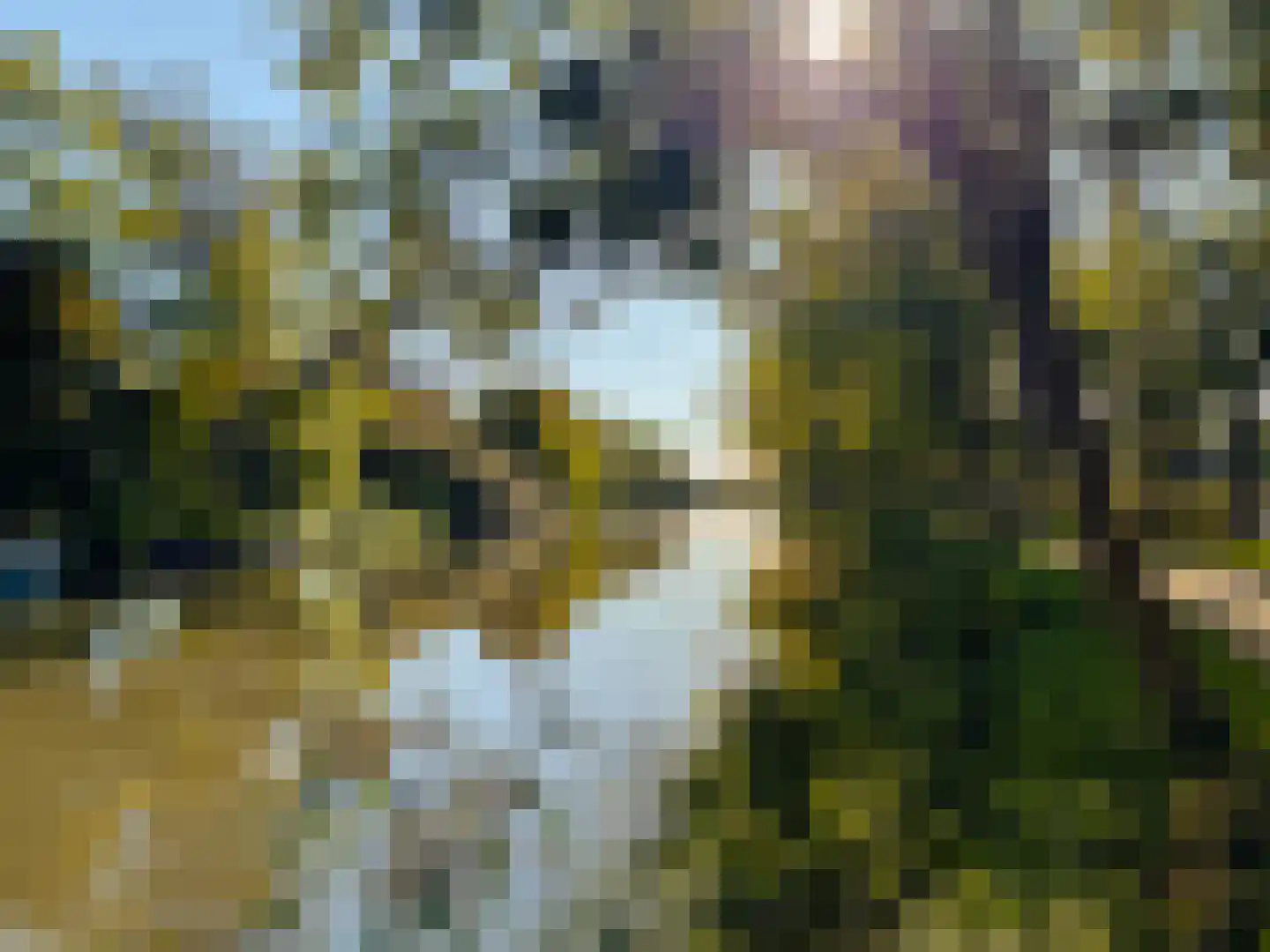 Gein-Noord 89 Abcoude thumbnail 48