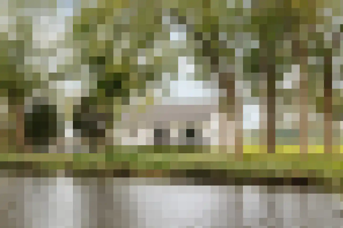 Gein-Noord 89 Abcoude thumbnail 5