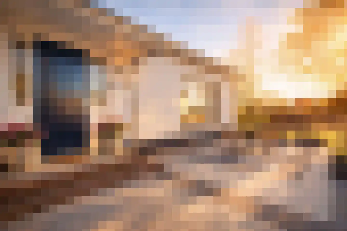 Gein-Noord 89 Abcoude thumbnail 6