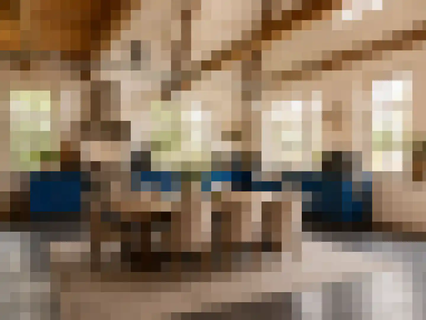 Gein-Zuid 52 Abcoude thumbnail 14