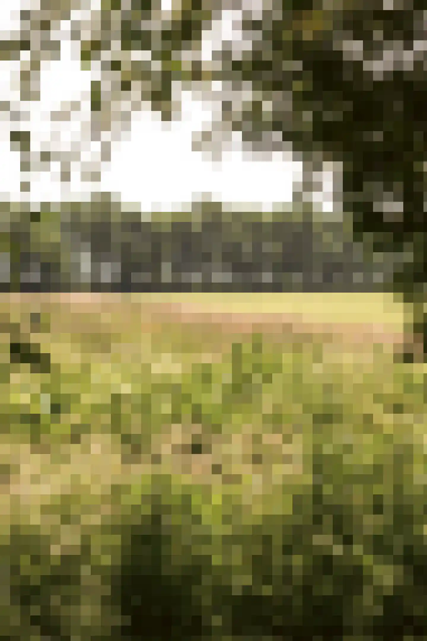 Gein-Zuid 52 Abcoude thumbnail 42