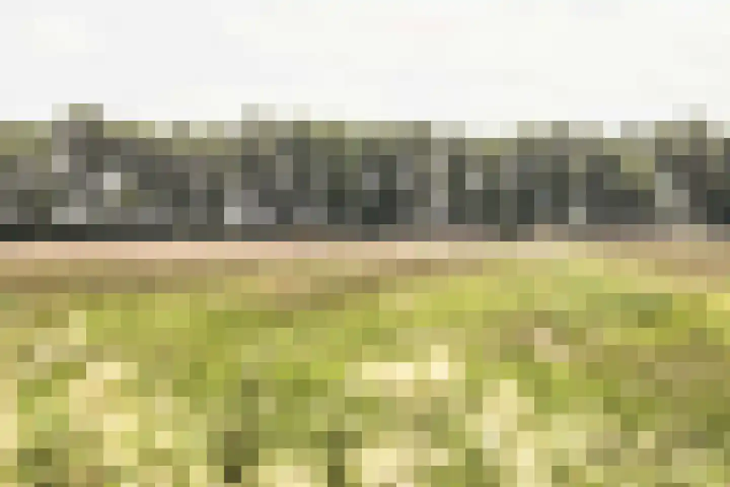 Gein-Zuid 52 Abcoude thumbnail 47