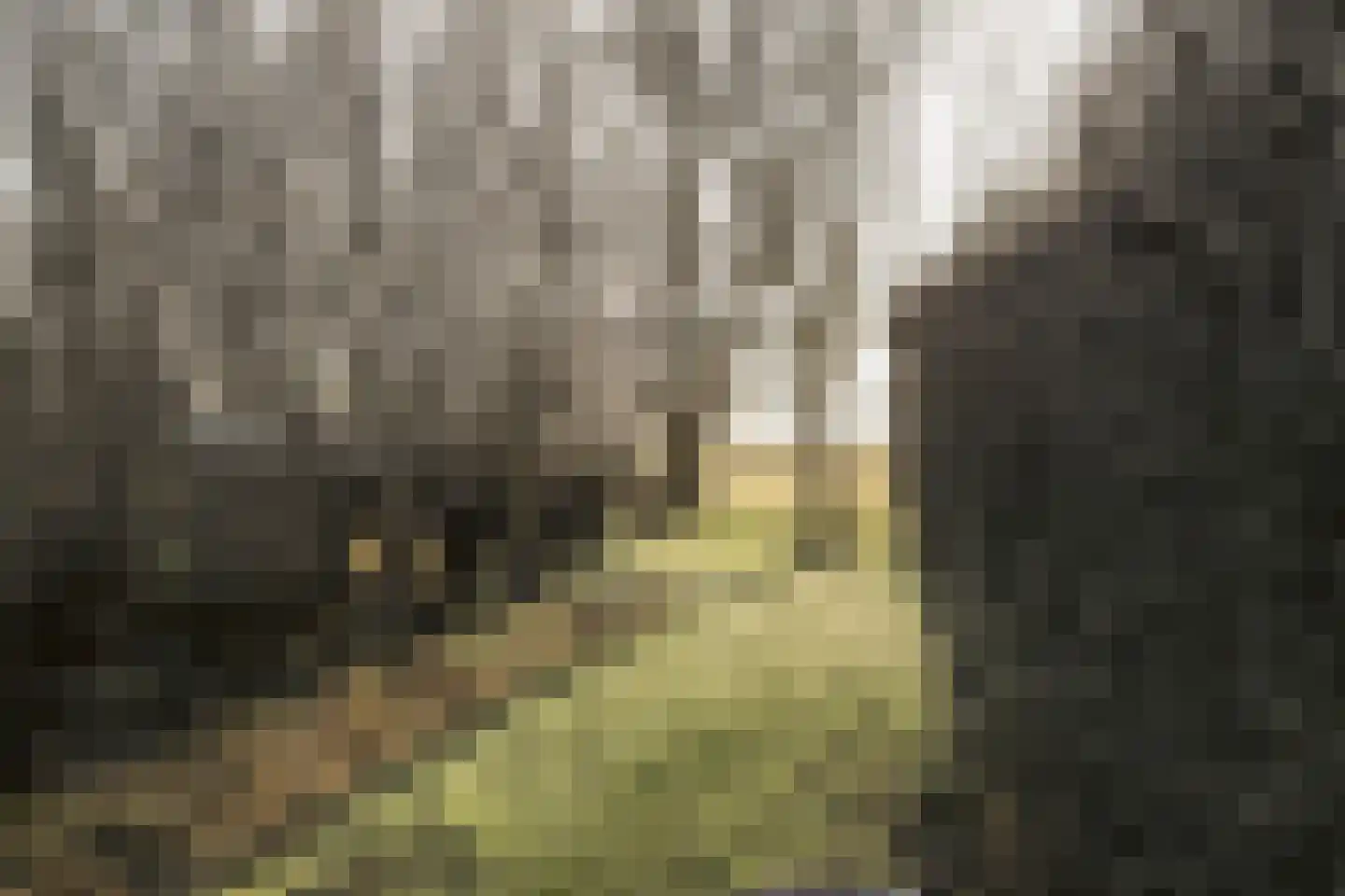 Gein-Zuid 52 Abcoude thumbnail 48