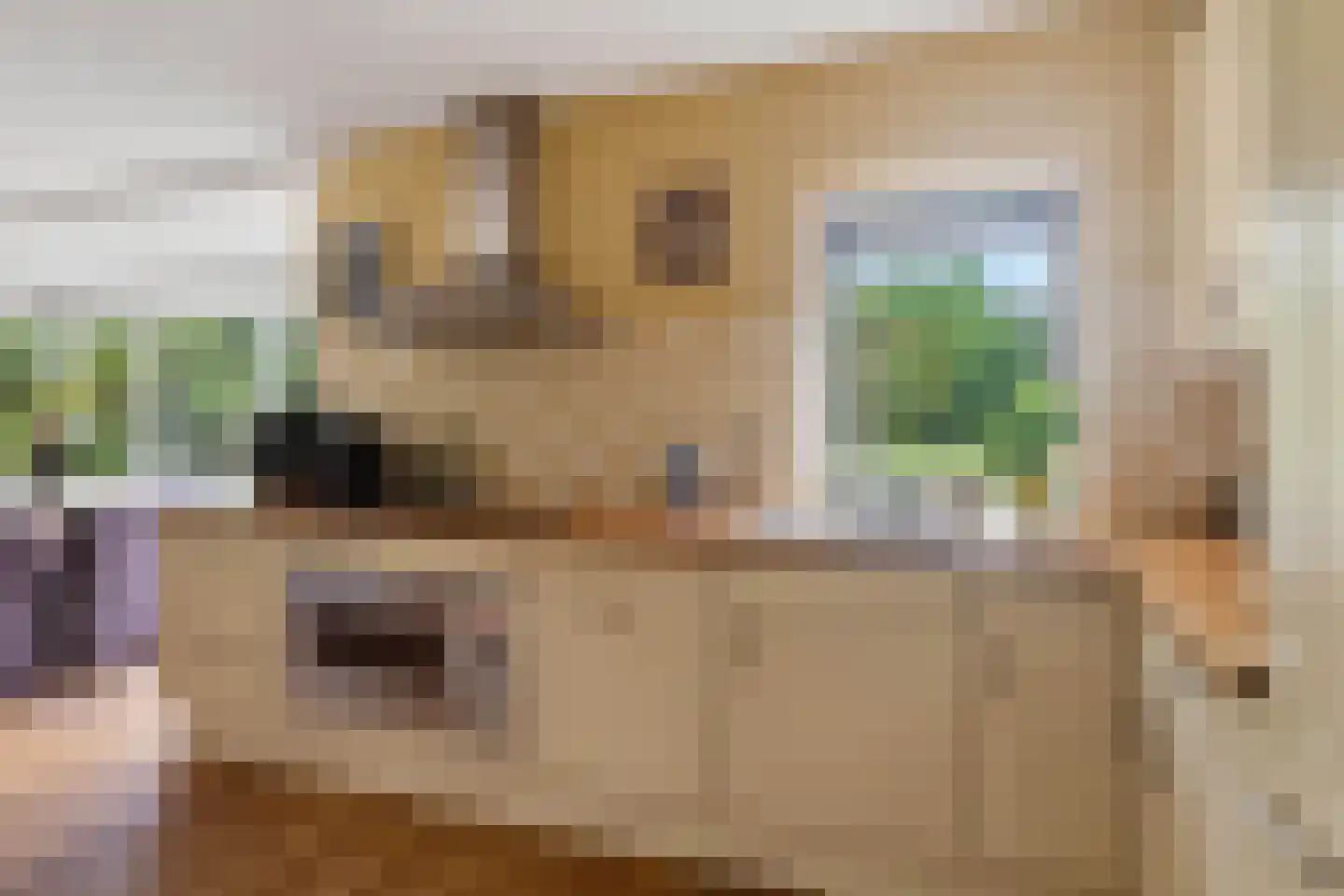 Geindijk 3 A Nieuwegein thumbnail 20