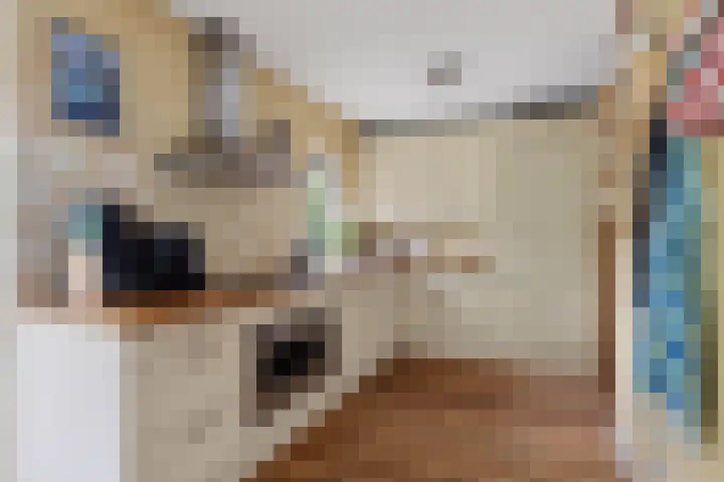 Geindijk 3 A Nieuwegein thumbnail 21