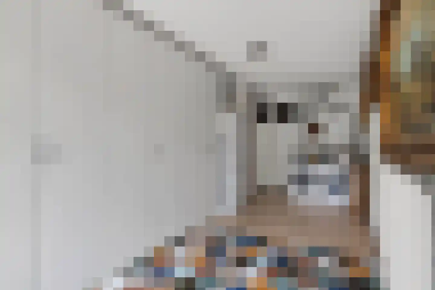 Geindijk 3 A Nieuwegein thumbnail 25