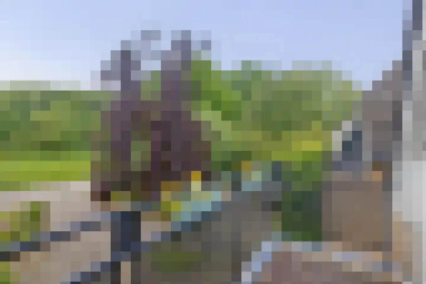 Geindijk 3 A Nieuwegein thumbnail 31