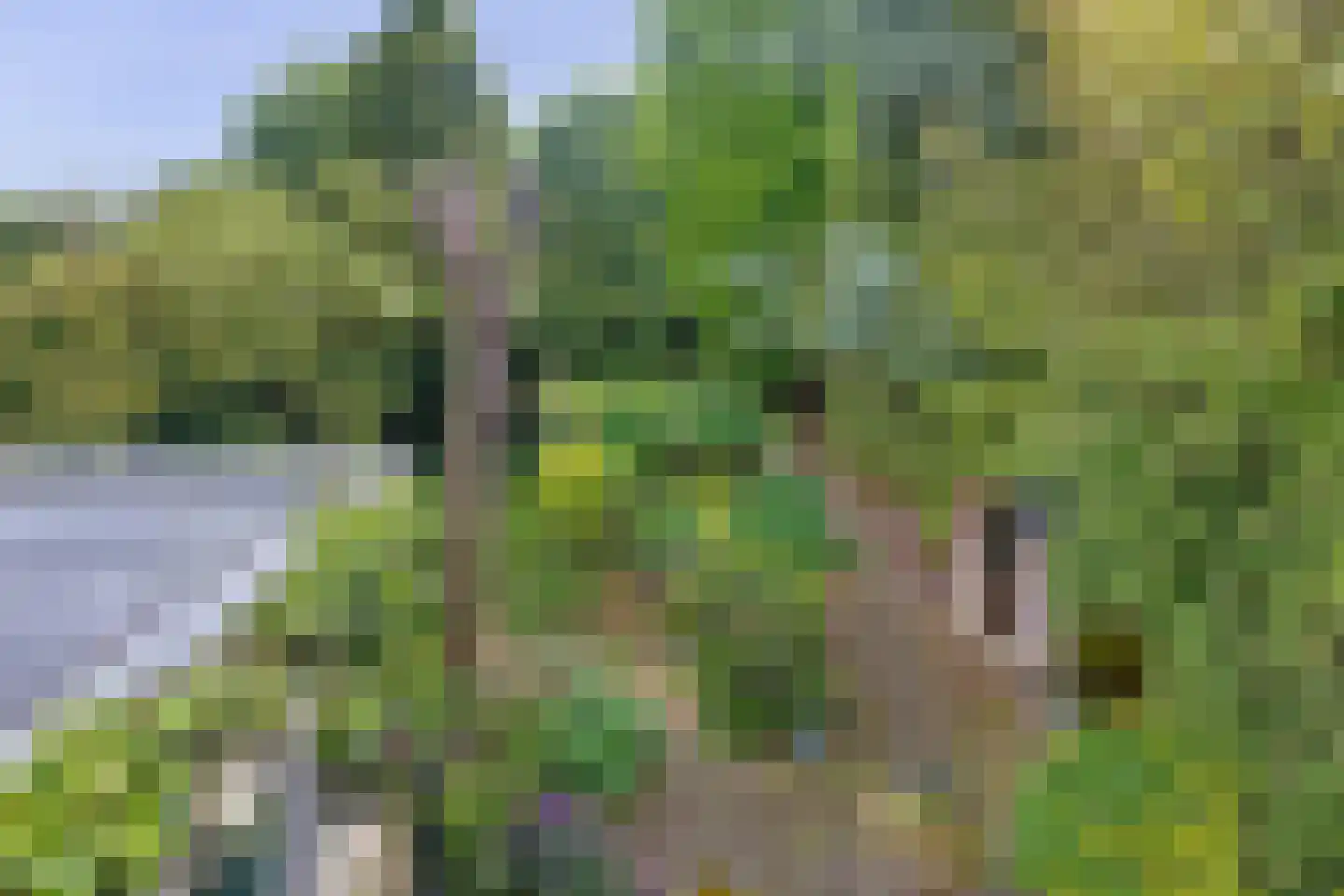Geindijk 3 A Nieuwegein thumbnail 34