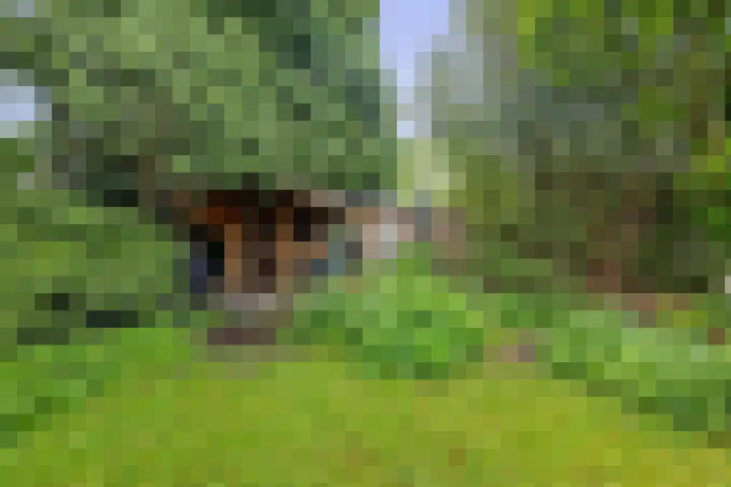 Geindijk 3 A Nieuwegein thumbnail 36