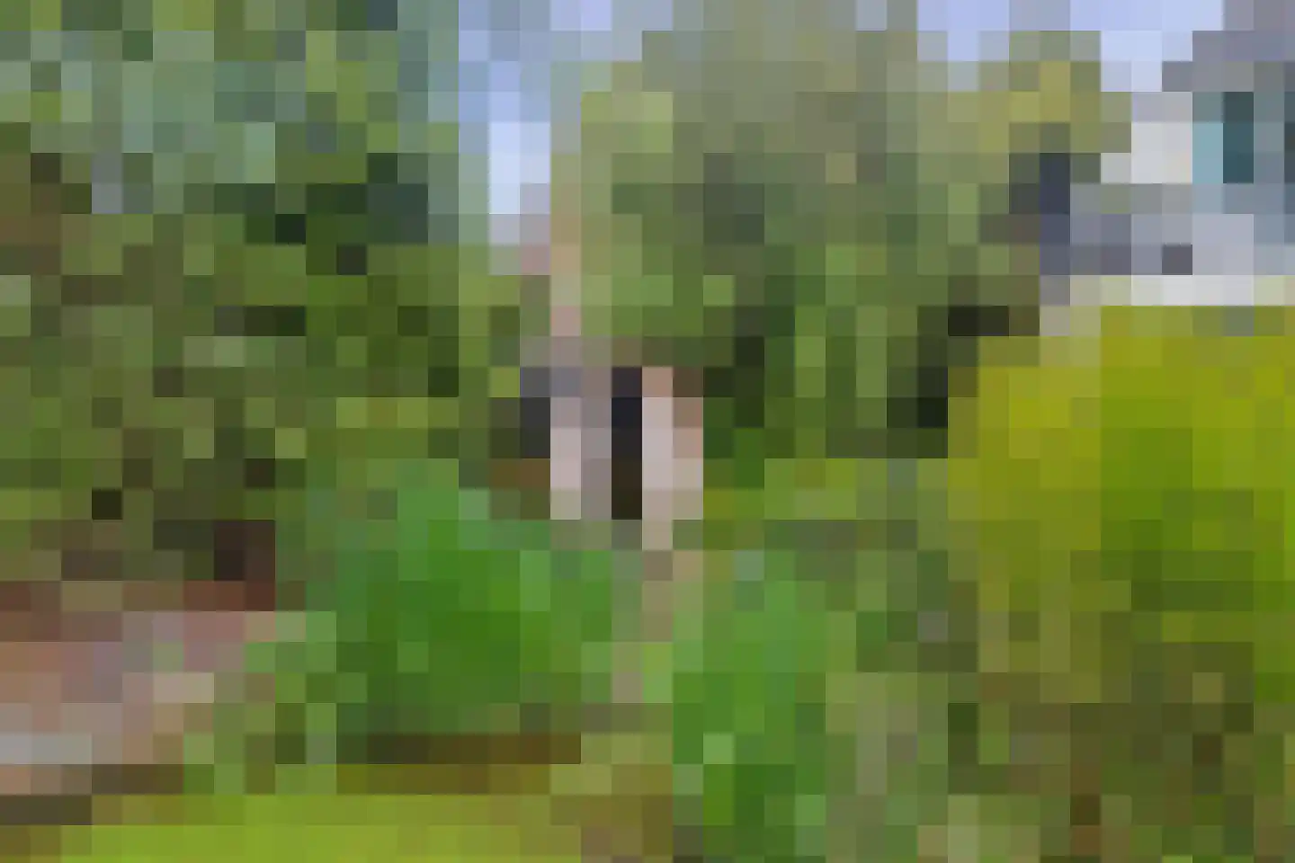 Geindijk 3 A Nieuwegein thumbnail 37