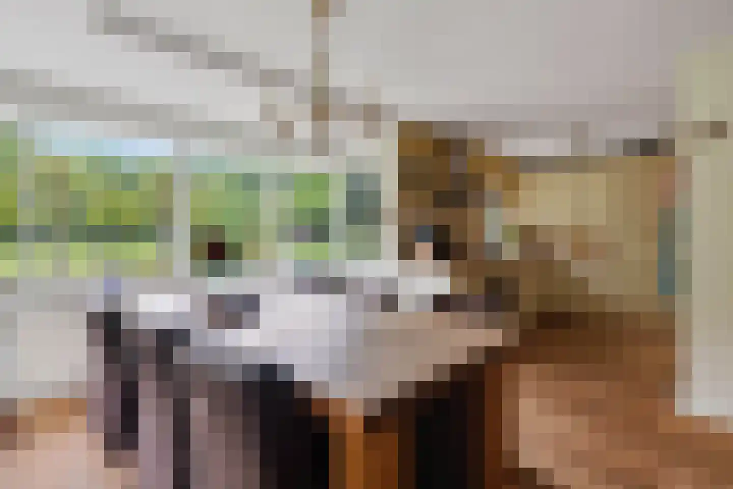 Geindijk 3 A Nieuwegein thumbnail 4