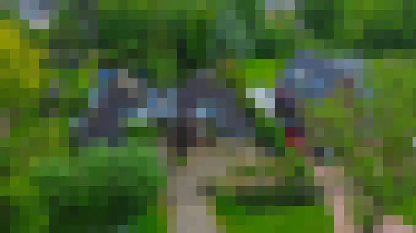 Geindijk 3 A Nieuwegein thumbnail 42