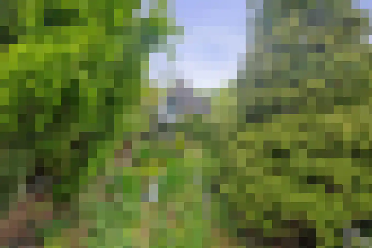 Geindijk 3 A Nieuwegein thumbnail 7