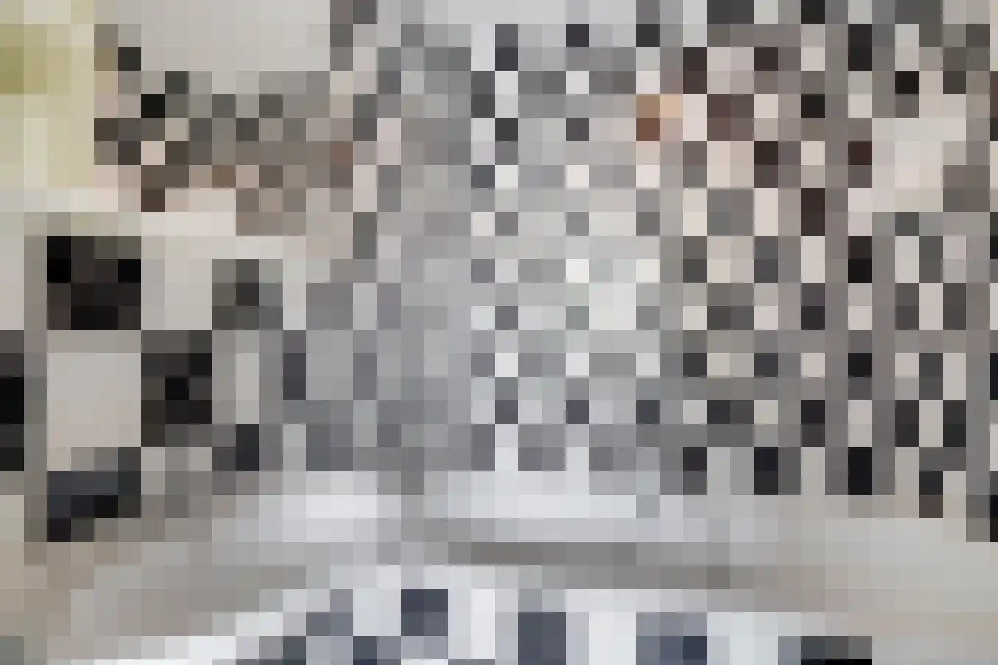 Geiserlaan 13 Zeist thumbnail 14